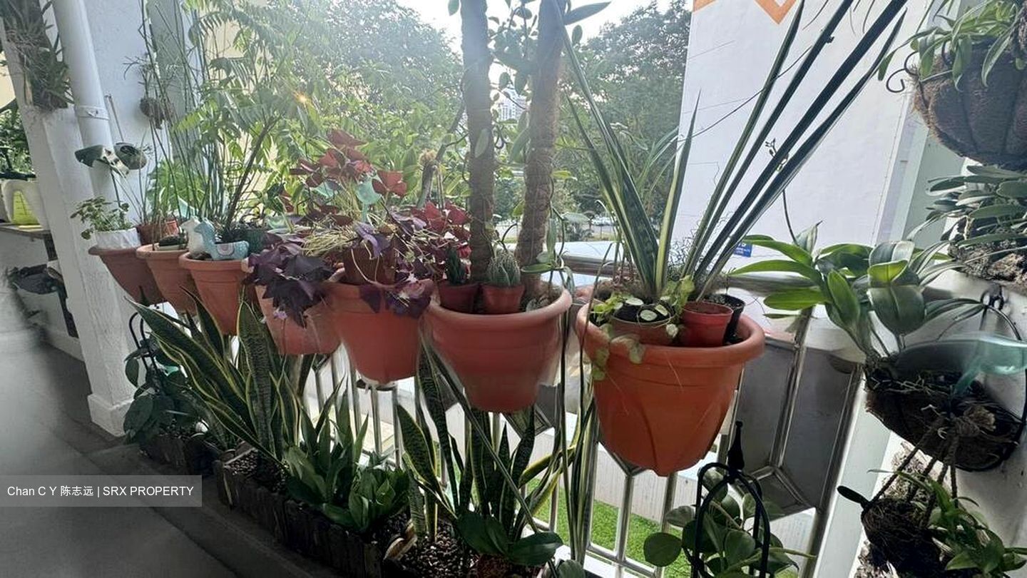 Blk 88 Commonwealth Heights (Queenstown), HDB 3 Rooms #458203121
